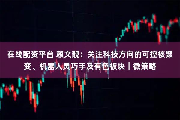 在线配资平台 赖文靓:关注科技方向的可控核聚变、机器人灵巧手及有色板块|微策略